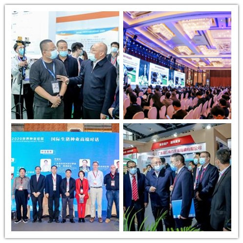 新闻联播回放10月17日 c1e1-71114feeee4056630117f387e09c562c.png