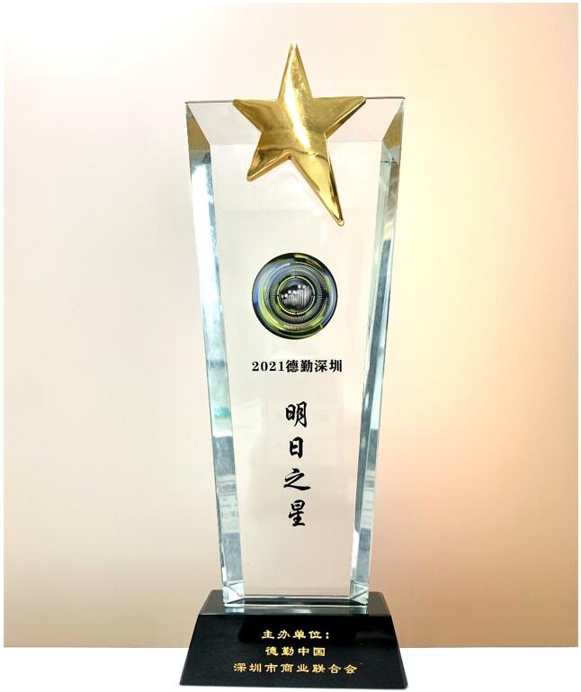 高灯科技荣获2021德勤深圳明日之星奖项