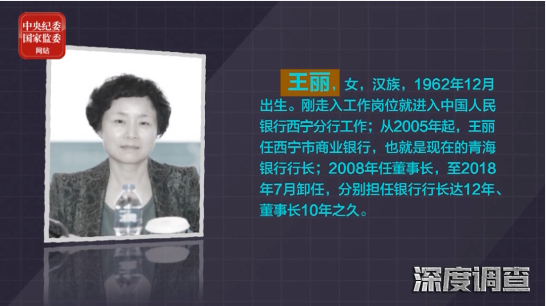 图片来源:中央纪委国家监委网站 视频截图