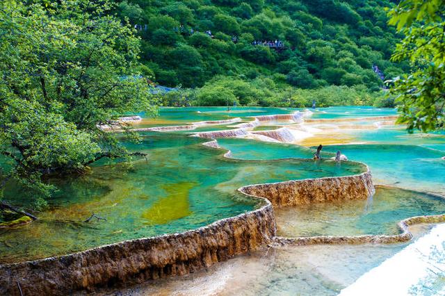 四川今起暂停跨省团队旅游及"机 酒"业务 坐成都地铁需绿码