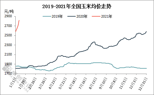 玉米市场喜迎开门红 “金玉米”已上线