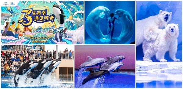 鲸企连连上海海昌海洋公园三周年庆