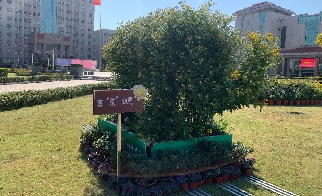 建党100年ppt背景图,党建ppt背景图片 人及物业员工合影▲副校长洪涛宣布开幕本届菊花展围绕建党100周年,以