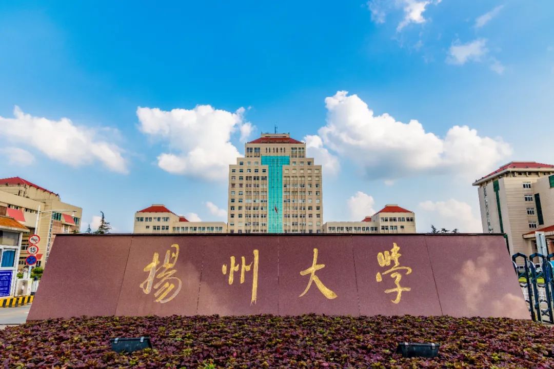 建党100年ppt背景图,党建ppt背景图片 人及物业员工合影▲副校长洪涛宣布开幕本届菊花展围绕建党100周年,以