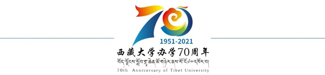 拉萨将于11月16日在全区率先启用电子驾驶证