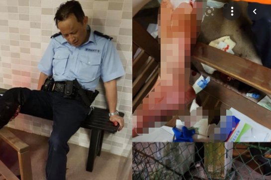11月9日，香港52岁辅警遭野猪攻击受伤