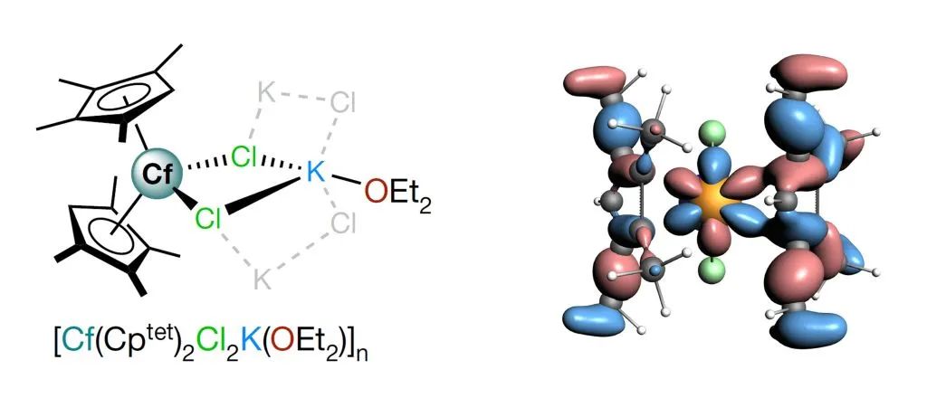 图1. [Cf(C5Me4H)2Cl2K(OEt2)]n的几何结构以及含Cf 5f成分的成键轨道