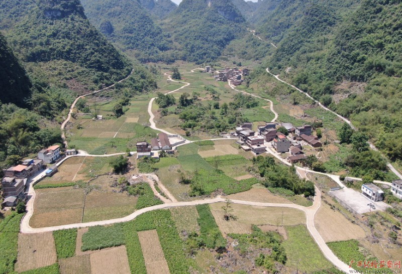 如今的飞高村,交通便利,水泥路通到家门口,成为群众致富路。