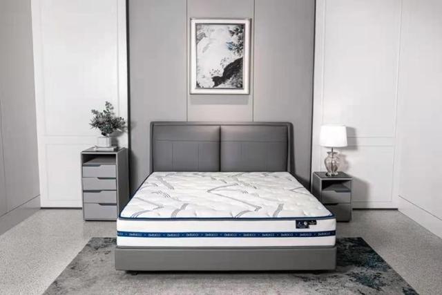 慕思床垫 cec2-95202bce62ab00b3a01938cc0de68272.jpg