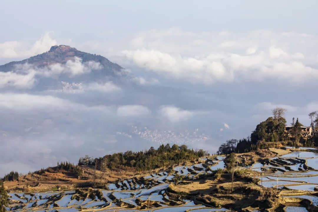 哀牢山的云海 图源视觉中国