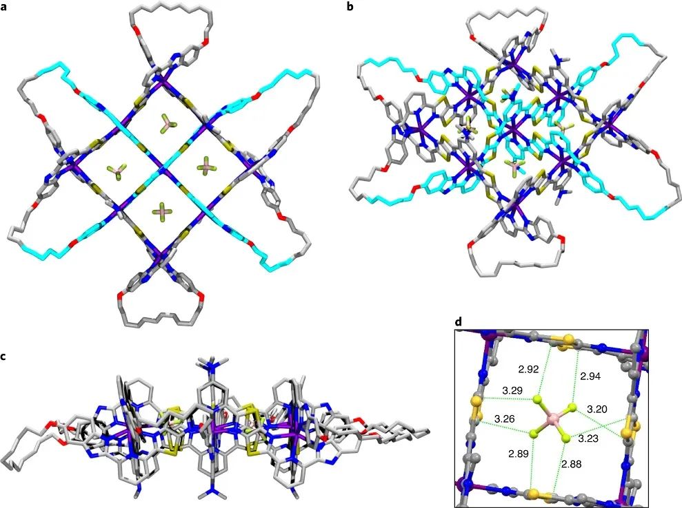 ▲ 图2 基于[Fe916](BF4)18的X-射线晶体结构，采用Merck分子力场模拟端基关环后的3×3网格结构，即分子74结的结构