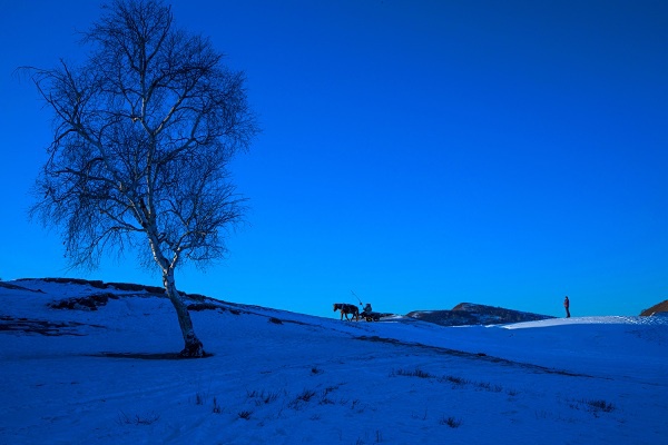 静谧冬日,天寒地冻,积雪不化,寒意涔涔.