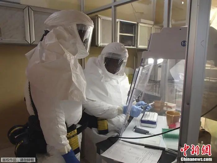图为位于美国马里兰州德特里克堡的美国陆军传染病医学研究所(USAMRIID)的技术人员，在一个遏制埃博拉病毒的实验室里进行化验