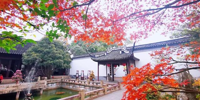 方塔园醉白池公园联合年票你入手了吗