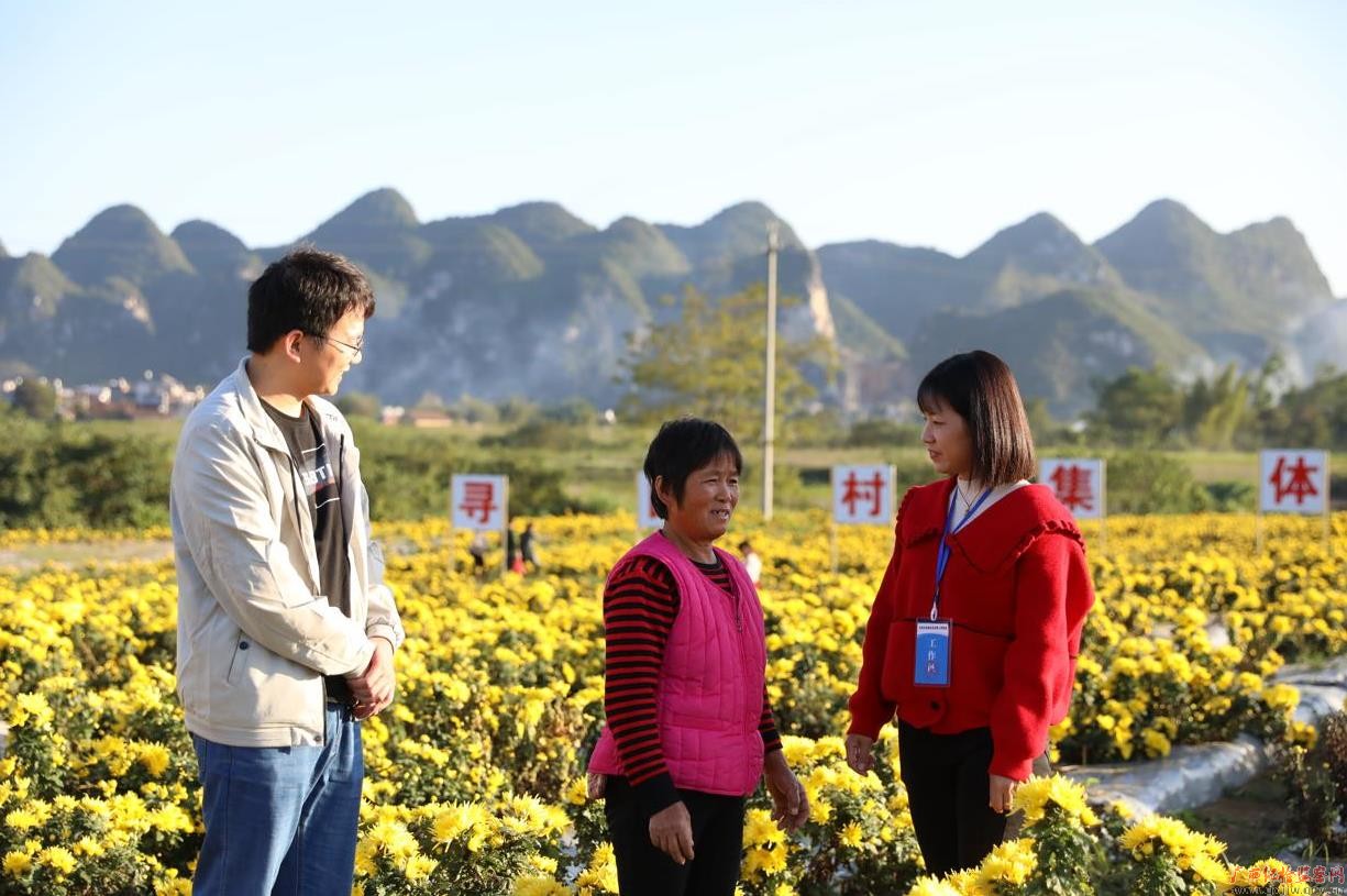洛东镇纪委向寻田村中草药基地管护员韦大姐了解菊花产业种植情况。