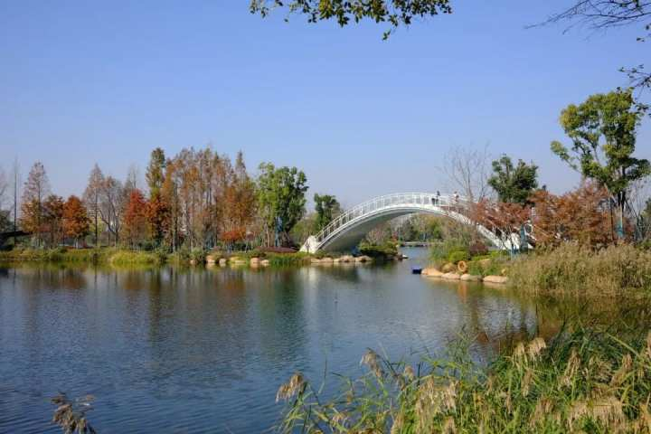 丰收湖公园实景