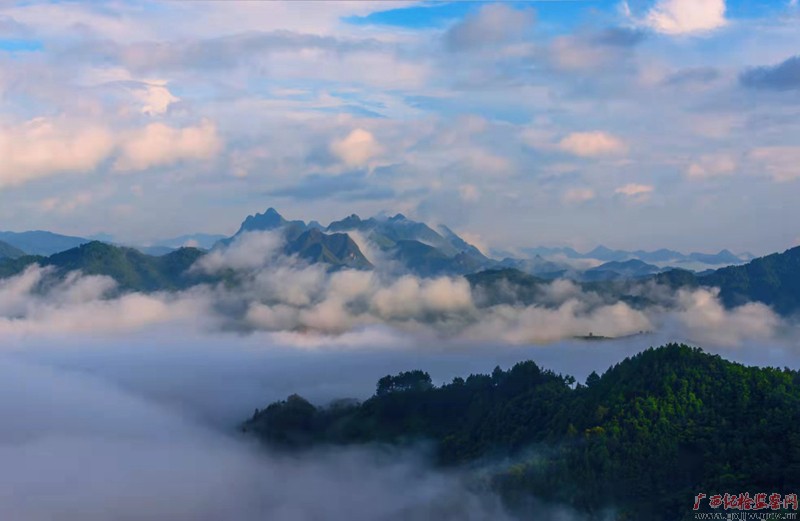  冬天是安静的。大雪前后，昼夜极大的温差，带来云山雾海、仙境飘渺的视觉盛宴。图为静谧唯美的东兰县三弄乡莲花山。（河池市东兰县纪委监委  牙涵/摄）