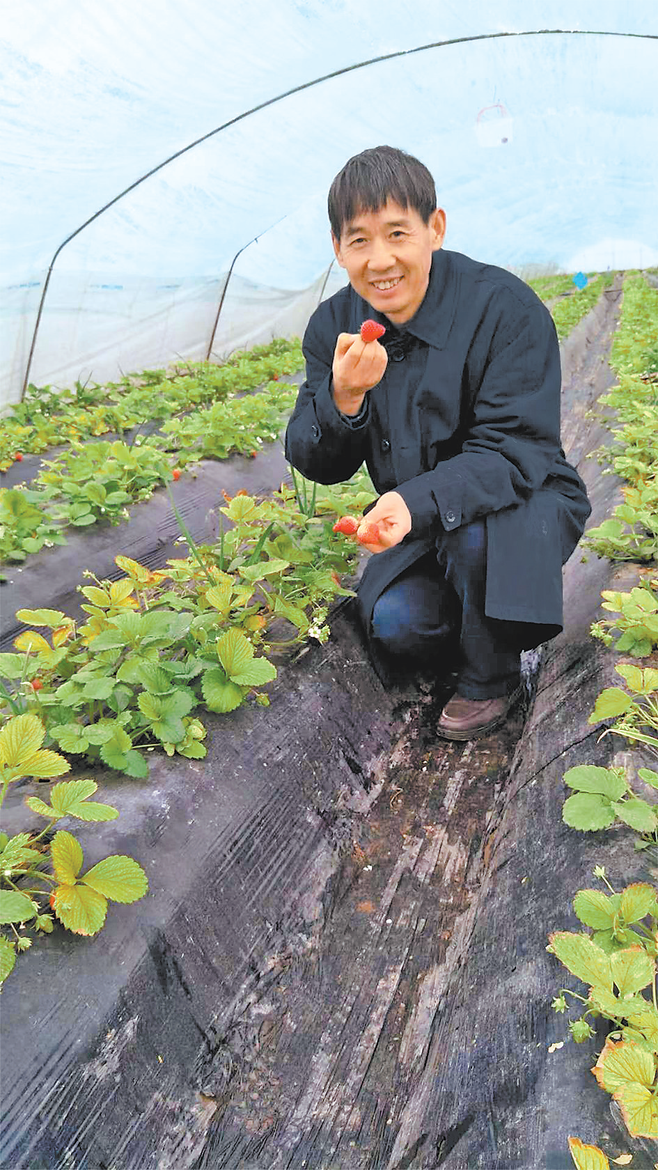 郑州大学教授秦广雍说，他的梦想是做一名现代农业探路人。受访者供图