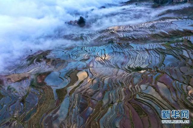 航拍视角下的元阳哈尼梯田（资料图）。崔永江 摄