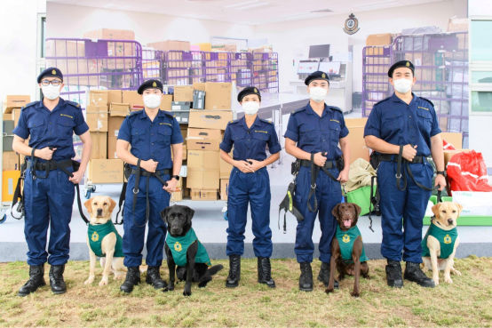 港府公报：香港海关宣布成立首支枪械搜查犬队