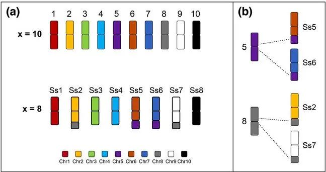 tiktok属于哪个国家开发的 dff3-a48d07b3cf1f70f22d8b8353b09baaee.jpg