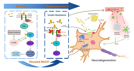 蒙眼辨物是什么原理_蒙眼头像男动漫(3)