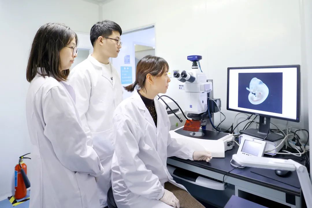 傅斌清（右一）与学生在生命科学实验中心通过体视显微镜观察小鼠胚胎发育。中国科大全媒体中心 刘扬帆 摄