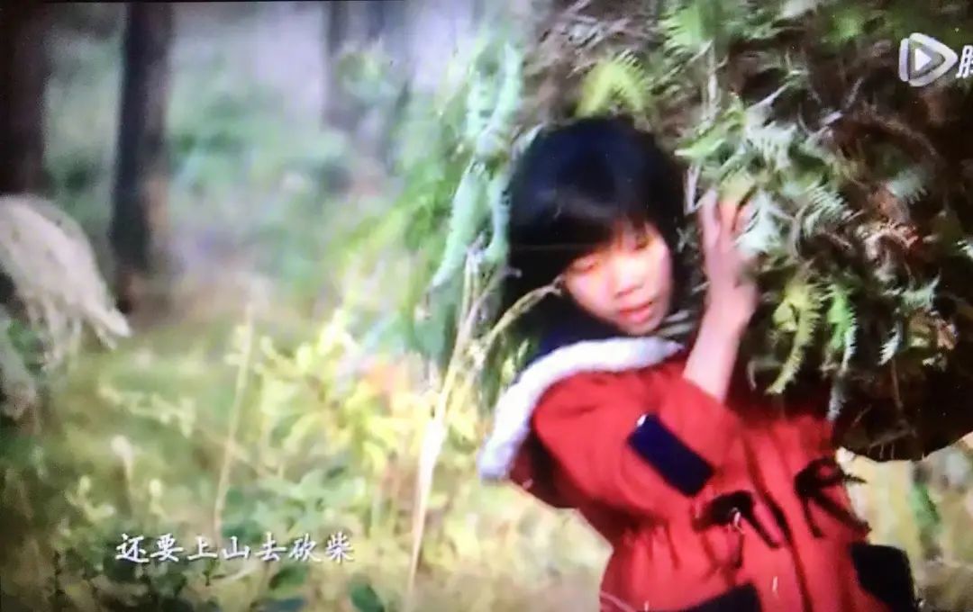 纪录短片中帮家里上山砍柴的杨素梅 图据视频截图