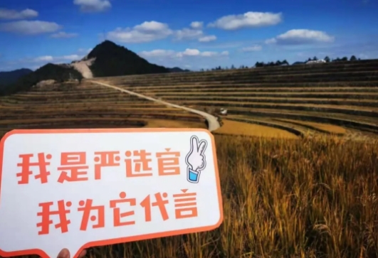 社区团购+直播卖菜,物业公司通过有赞找到新商机