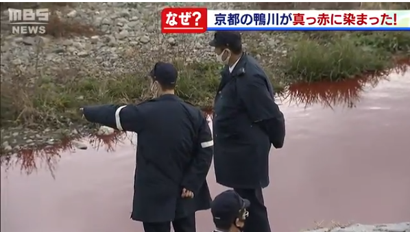 �����ֳ����е���ĵ��ؾ�����MBS��