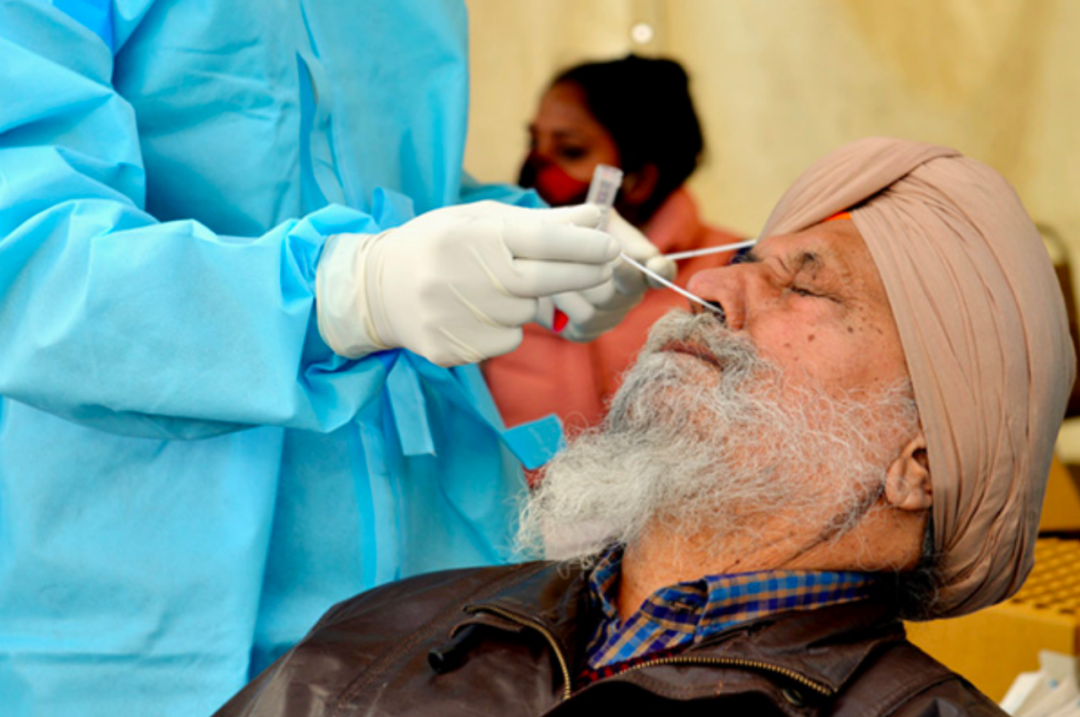 印度确诊新冠人口_印度新增确诊超1万(2)