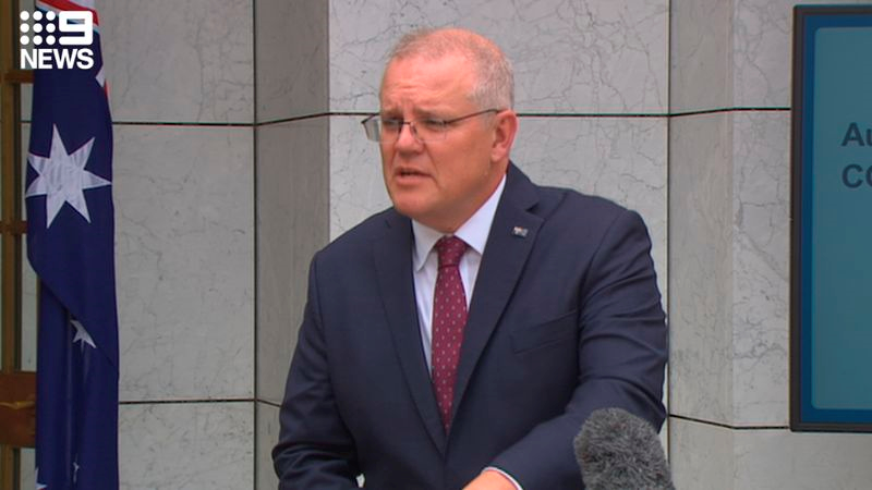 Ī��ɭ������Ƶ��ͼ