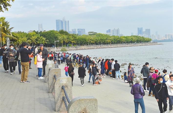 春节期间，深圳湾公园每天游人如织。本栏摄影 深圳商报记者 廖万育