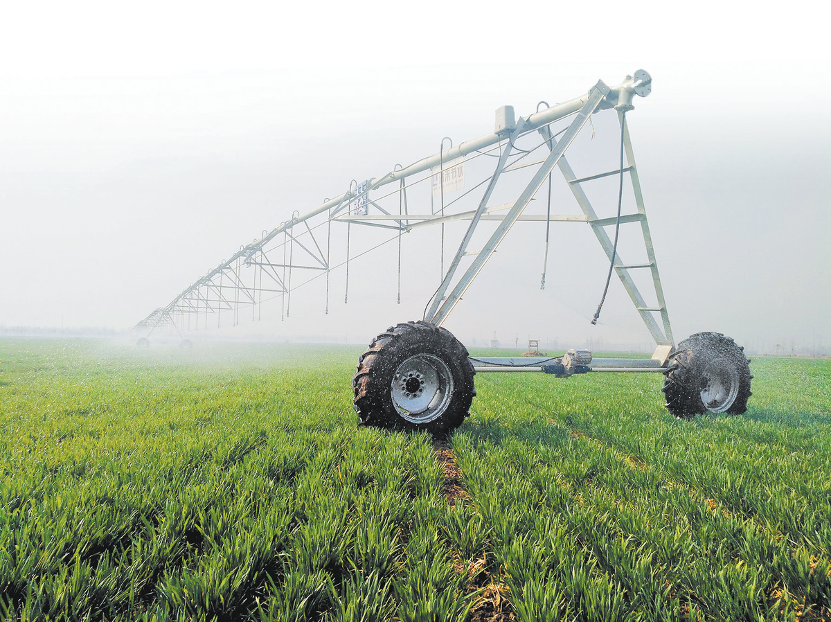 在滑县白马坡高标准农田示范区，移动式喷灌机正在为小麦浇水。（尚明达 摄）