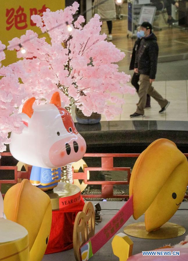 11 must make easy tiger crafts for kids Chinese Lunar New Year decorations seen in Richmond, Canada - World News - SINA English