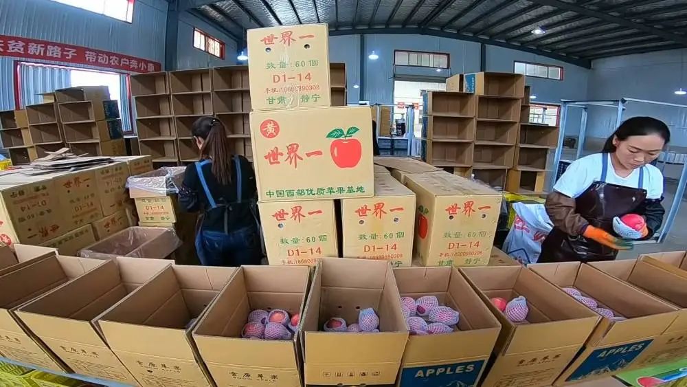 新华视点|当苹果遇到“保险+期货”