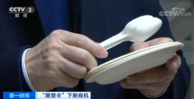 国外可降解餐具 feb9-kiweitv4226886.jpg