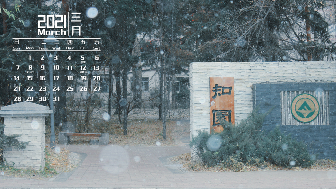 飞雪桌面日历下载,飞雪桌面日历安卓版 第2张 飞雪桌面日历下载,飞雪桌面日历安卓版 第2张