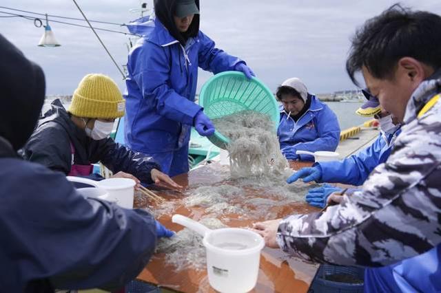 福岛县渔民们正在捕鱼（图源：外媒）