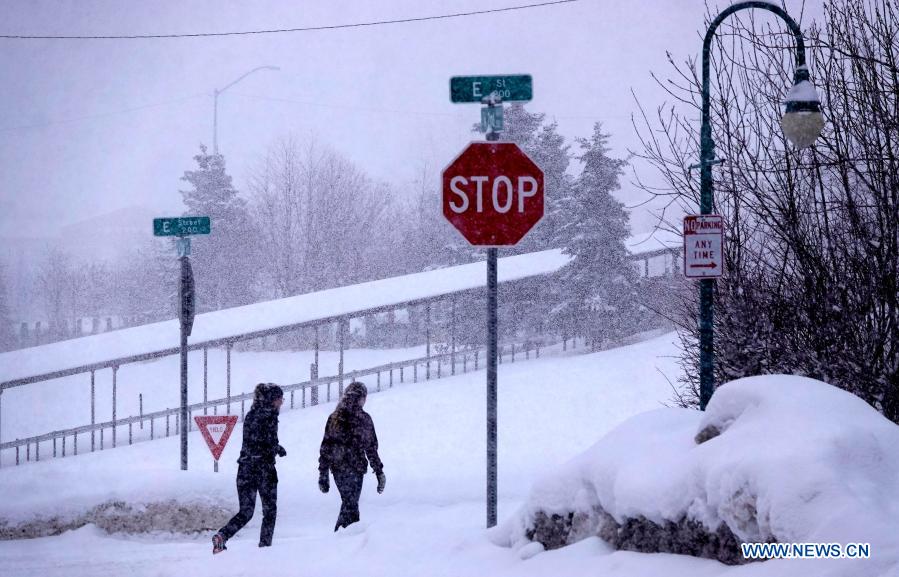 Anchorage Snowfall November 2024 Ora Birgitta Anchorage Snowfall November 2024 Ora Birgitta