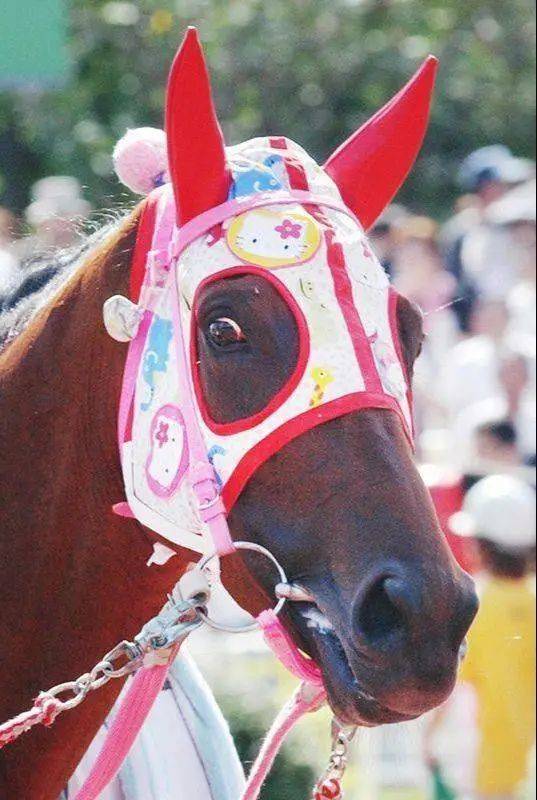 ▲ 春乌拉拉的粉色头套是它的训练师宗石研缝制的