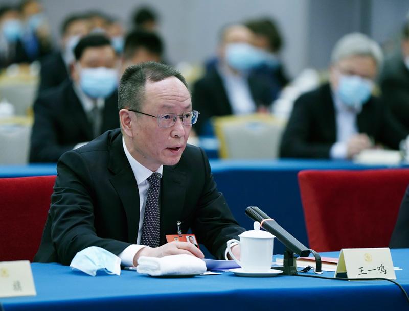 王一鸣(图为2020年两会时代)