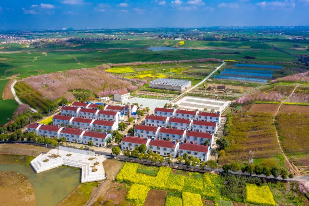 龙王镇人口_彭银山龙王镇周学玲