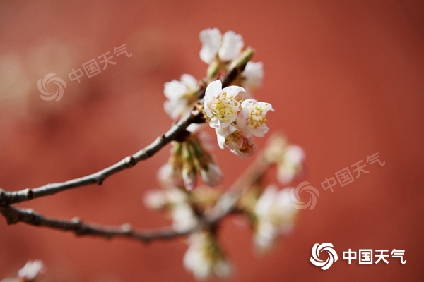 今天新一轮降雨上线，中部和东部地区的温度波动回升| 中雨| 温度| 新疆_新浪科技_Sina.com