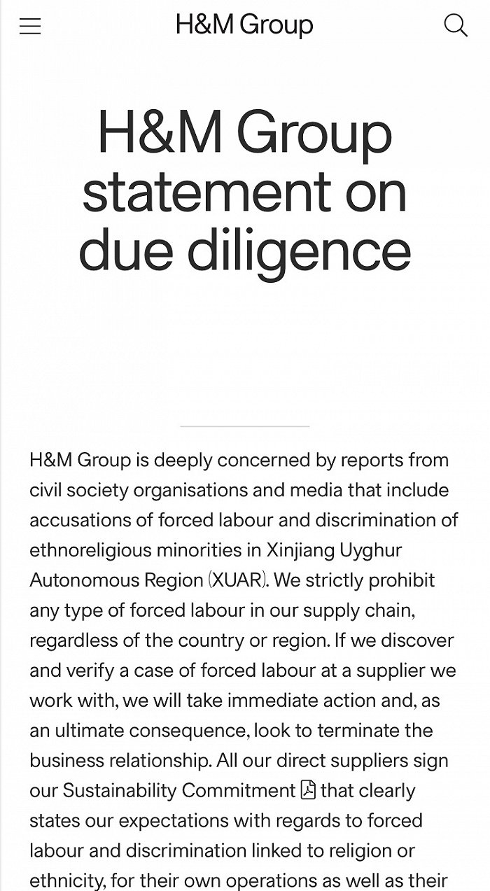 图片来源:H&M官网
