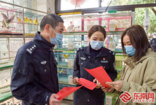 当天,福建省、市、区三级林业,公安,市场监管局部门对福州市国艺花鸟市场等重点场所开展联合执法检查。东南网记者 陈楠摄