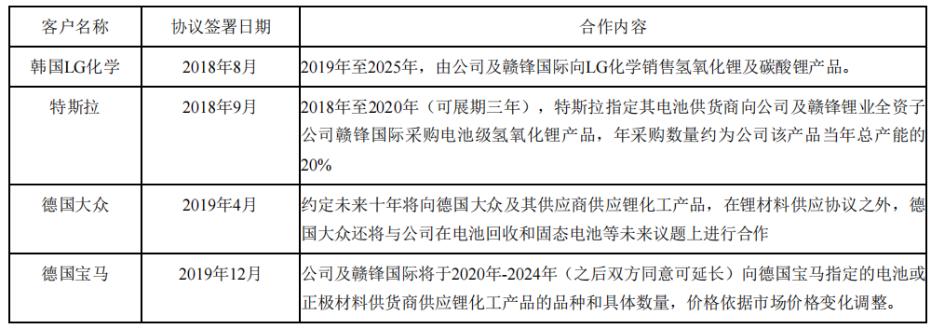 (赣锋锂业海外主要业务)