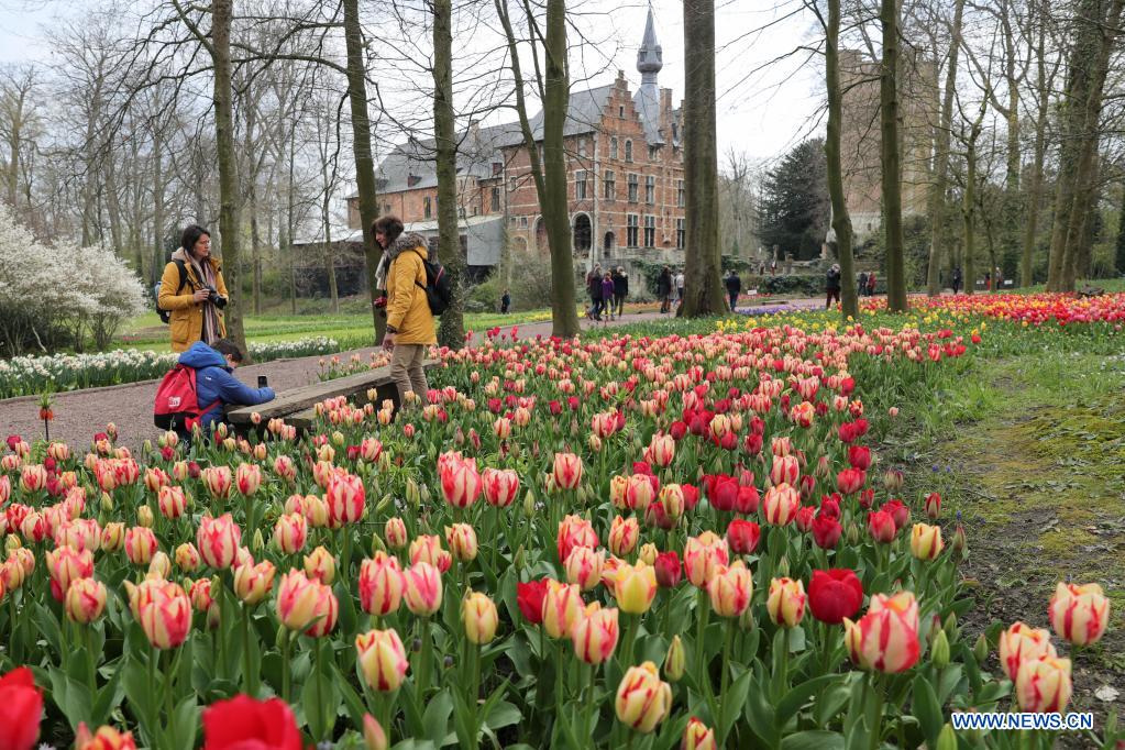 People visit the Floralia Brussels, or the 18th edition of the international flower exhibition, at the Grand Bigard castle near Brussels, Belgium, April 14, 2021. The exhibition will last until May 2. The park of 14 hectares showcases more than one million flowers, with almost 400 varieties of tulips. Hyacinths and daffodils are also well represented. (Xinhua/Zheng Huansong)