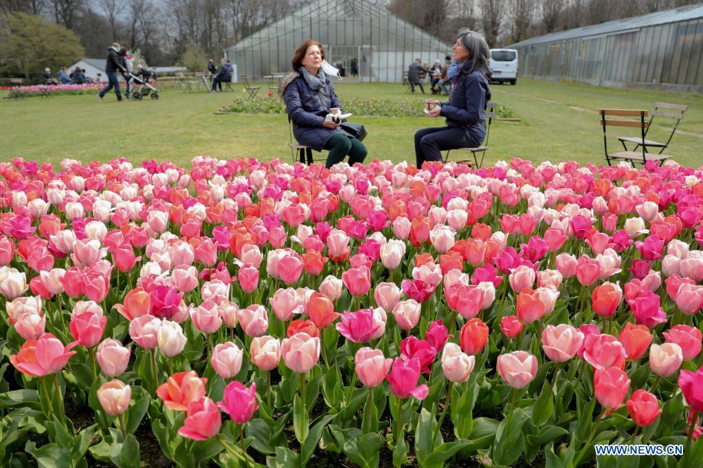 People chat at the Floralia Brussels, or the 18th edition of the international flower exhibition, at the Grand Bigard castle near Brussels, Belgium, April 14, 2021. The exhibition will last until May 2. The park of 14 hectares showcases more than one million flowers, with almost 400 varieties of tulips. Hyacinths and daffodils are also well represented. (Xinhua/Zheng Huansong)