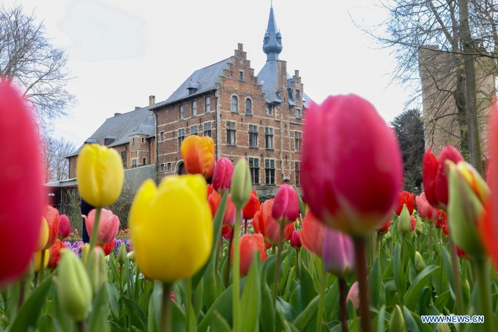 Flowers are seen at the Floralia Brussels, or the 18th edition of the international flower exhibition, at the Grand Bigard castle near Brussels, Belgium, April 14, 2021. The exhibition will last until May 2. The park of 14 hectares showcases more than one million flowers, with almost 400 varieties of tulips. Hyacinths and daffodils are also well represented. (Xinhua/Zheng Huansong)